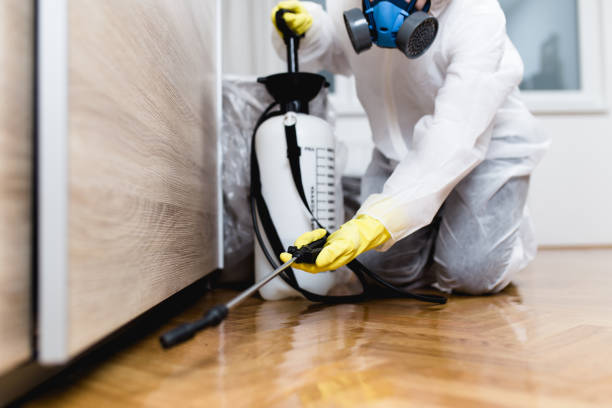 Best Pest Inspection Near Me  in St Louis Park, MN