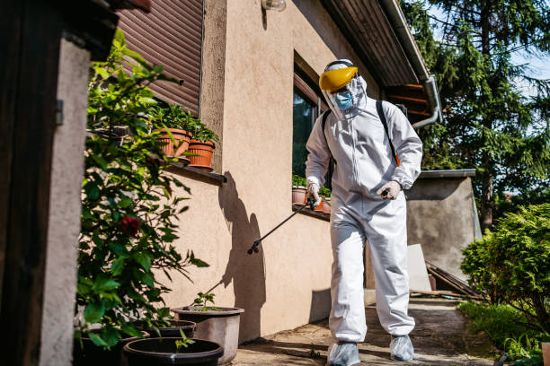 Best Bed Bug Extermination  in St Louis Park, MN