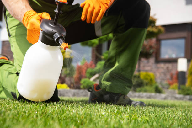 Best Rat Extermination Near Me  in St Louis Park, MN