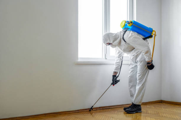 Professional Pest Control in St Louis Park, MN